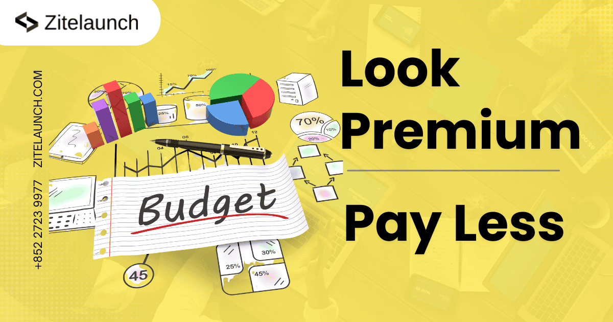 Image showing budget statistic with text "Look premium , pay less"